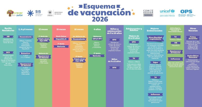 El calendario de vacunación incluye refuerzos importantes en la niñez y adolescencia.