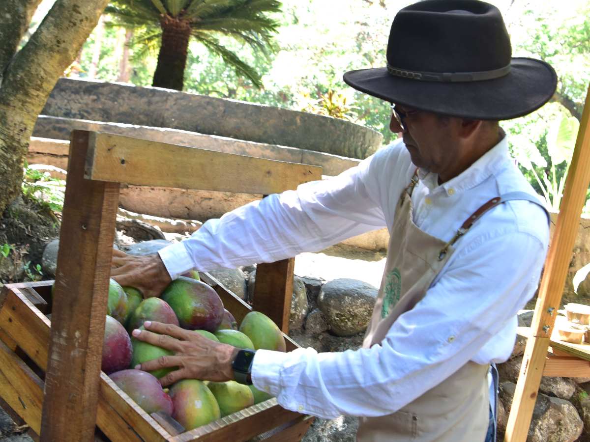 expo-mango-zacatecoluca-05