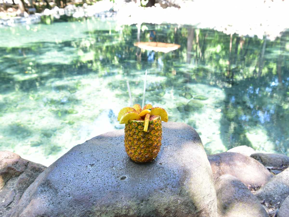 expo-mango-zacatecoluca-06