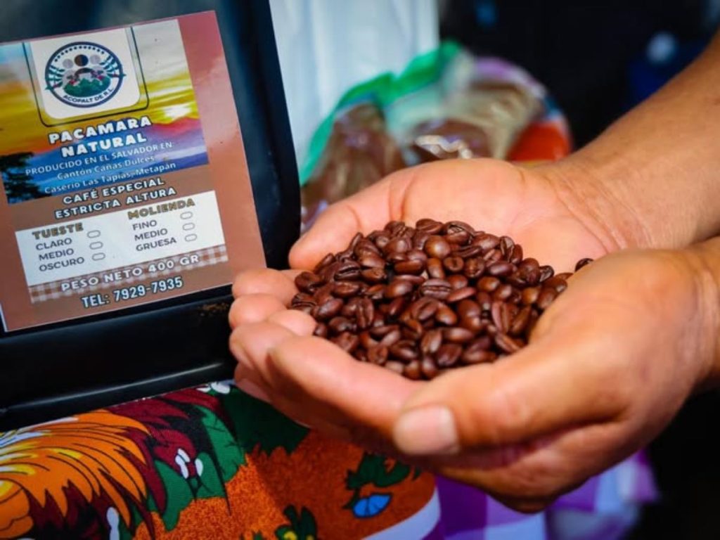 Café de altura destaca por su calidad y tradición en Chalatenango, uno de los principales territorios cafetaleros del país