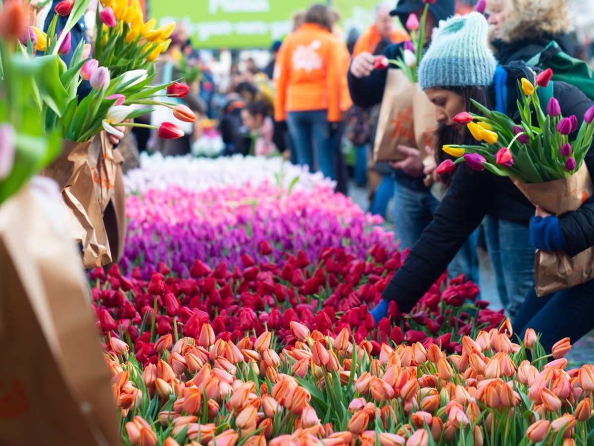 festival-tulipanes-londres-5-de-mayo-turismo-impacto-global-masivo-flores