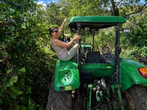 Visitantes disfrutan de un recorrido en tractor entre cafetales y bosque en Finca El Milagro, Caluco. Foto/ Cortesía