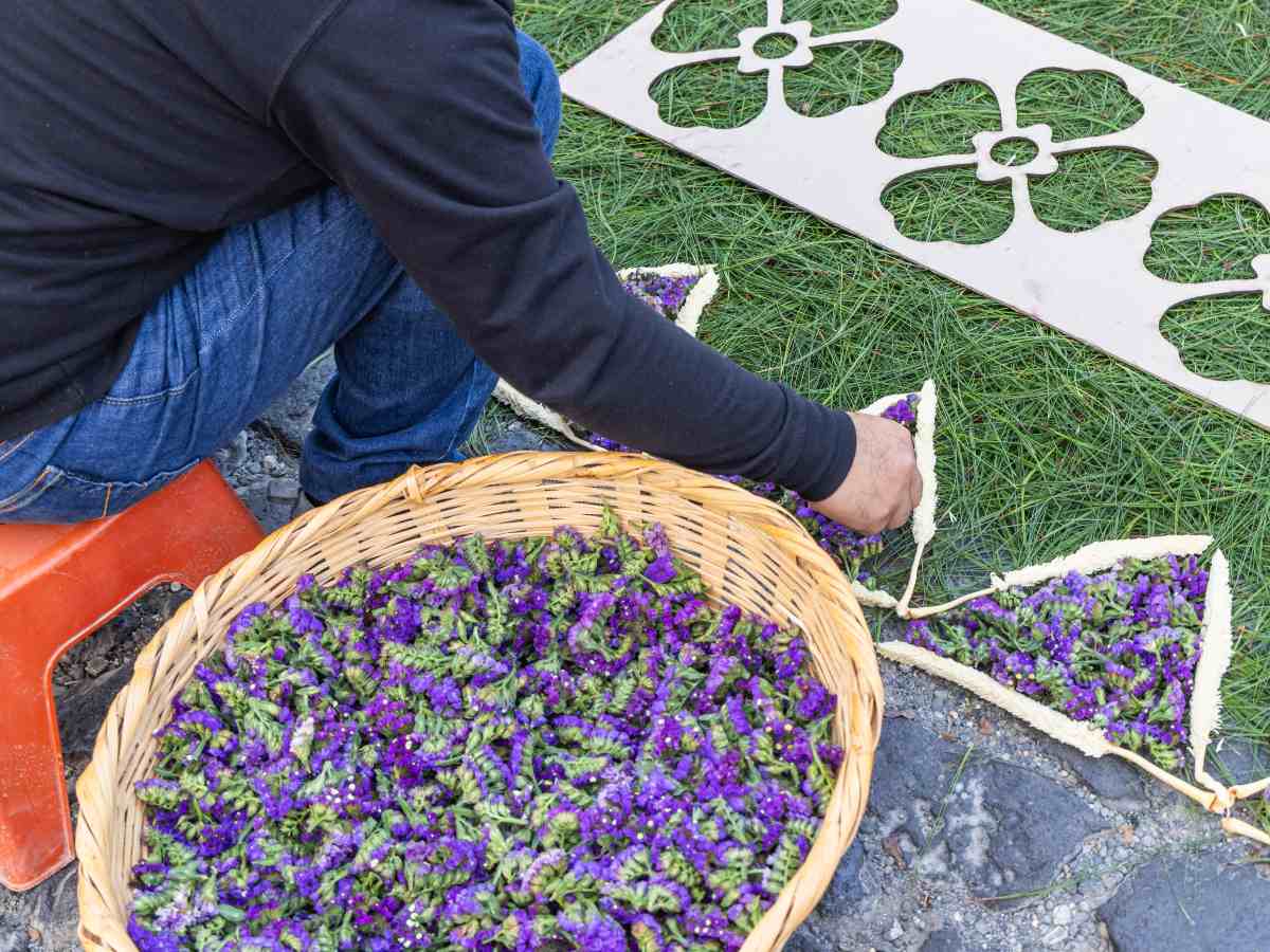 La estaticia aporta color y simbolismo a las tradicionales alfombras de Semana Santa en Guatemala, una expresión cultural que une fe y comunidad.