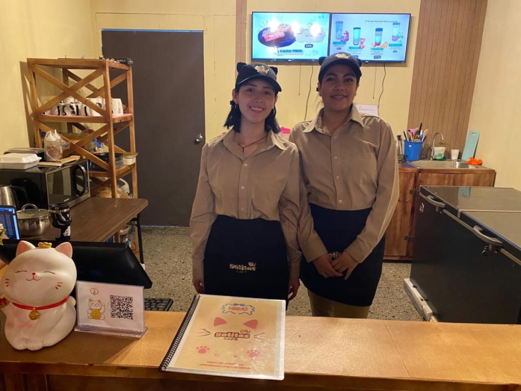 Gatitos Café abre sus puertas en el Centro Histórico con una propuesta única inspirada en Japón.