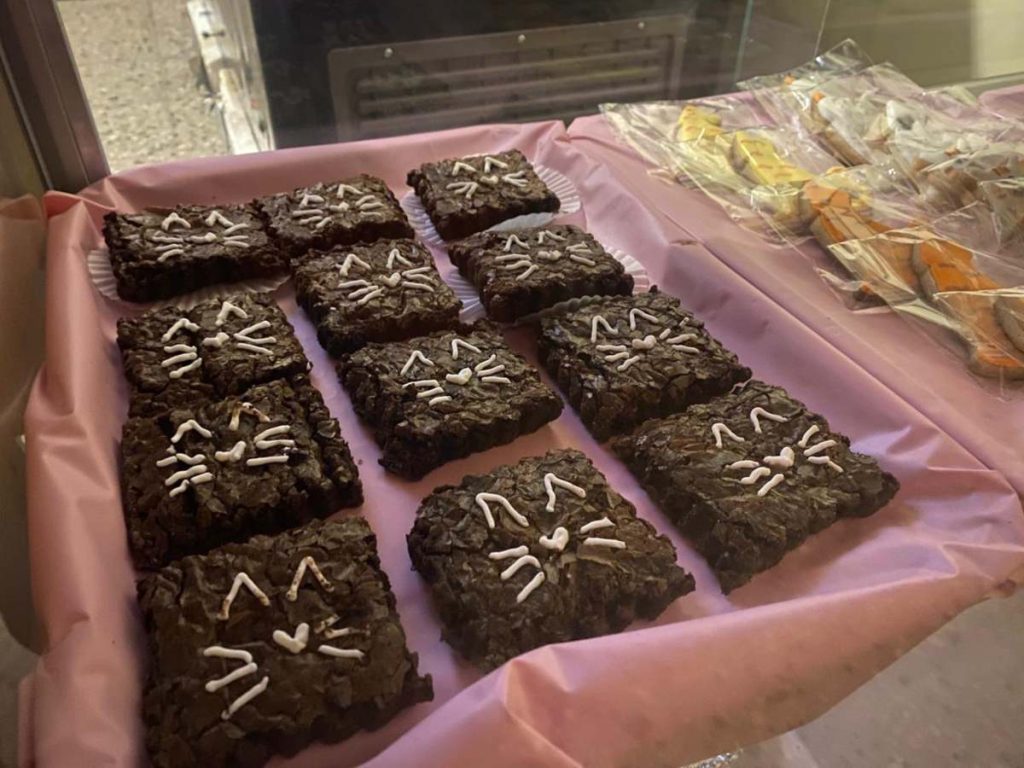 El espacio combina gastronomía japonesa con interacción responsable con felinos.