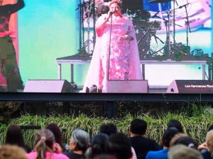 hermanos-flores-en-cine-al-aire-libre (1)