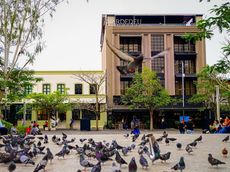 hotel-City-Centro-By-Marriot-06