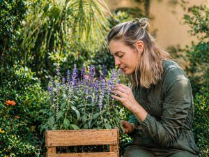 huerto casero-biohacking-domestico-farmacia-natural-jardin-plantas-medicinales