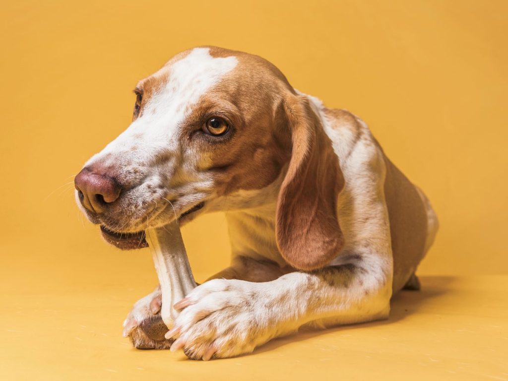 Fracturas dentales y obstrucciones son algunos de los riesgos asociados.
