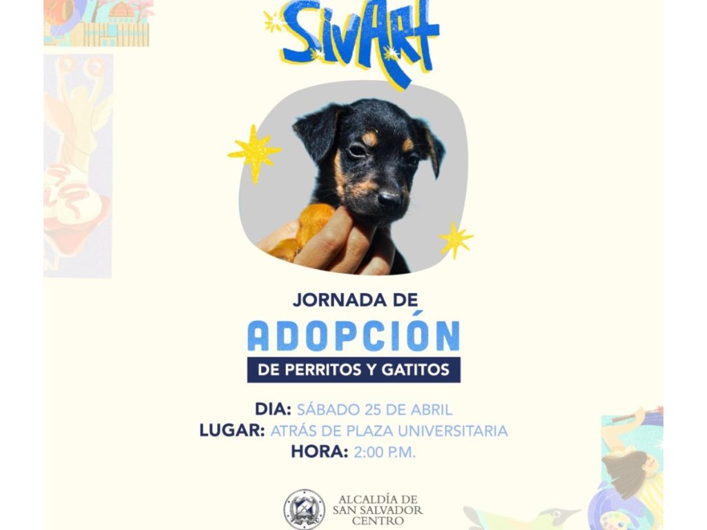 Perritos y gatitos estarán disponibles para adopción este sábado en el Centro Histórico de San Salvador, como parte del evento SivArt.