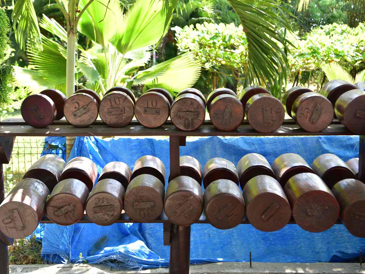 jungle-gym-mizata-lapaz08