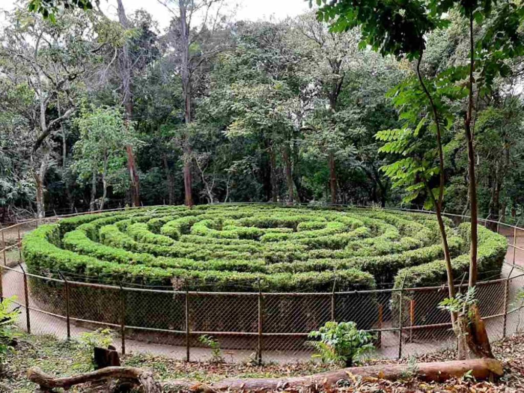 Parque Natural Balboa
Rodeado de naturaleza e historia, su laberinto es solo una de las muchas experiencias que convierten este parque en un destino ideal para toda la familia.