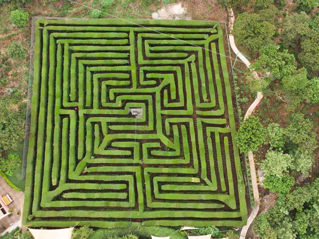 Laberinto de Albania En Apaneca, este icónico laberinto de cipreses pone a prueba tu sentido de dirección en una aventura donde perderse es parte del juego.