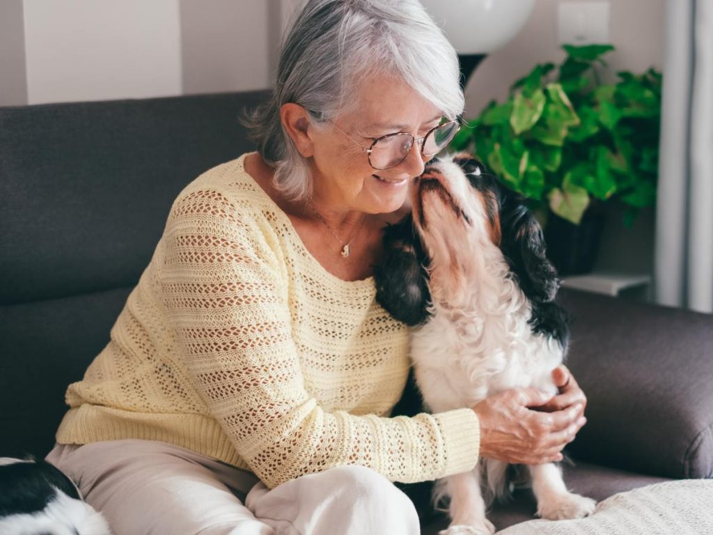 Las mascotas fortalecen la compañía en adultos mayores, promoviendo bienestar emocional y conexión con su entorno cotidiano.
