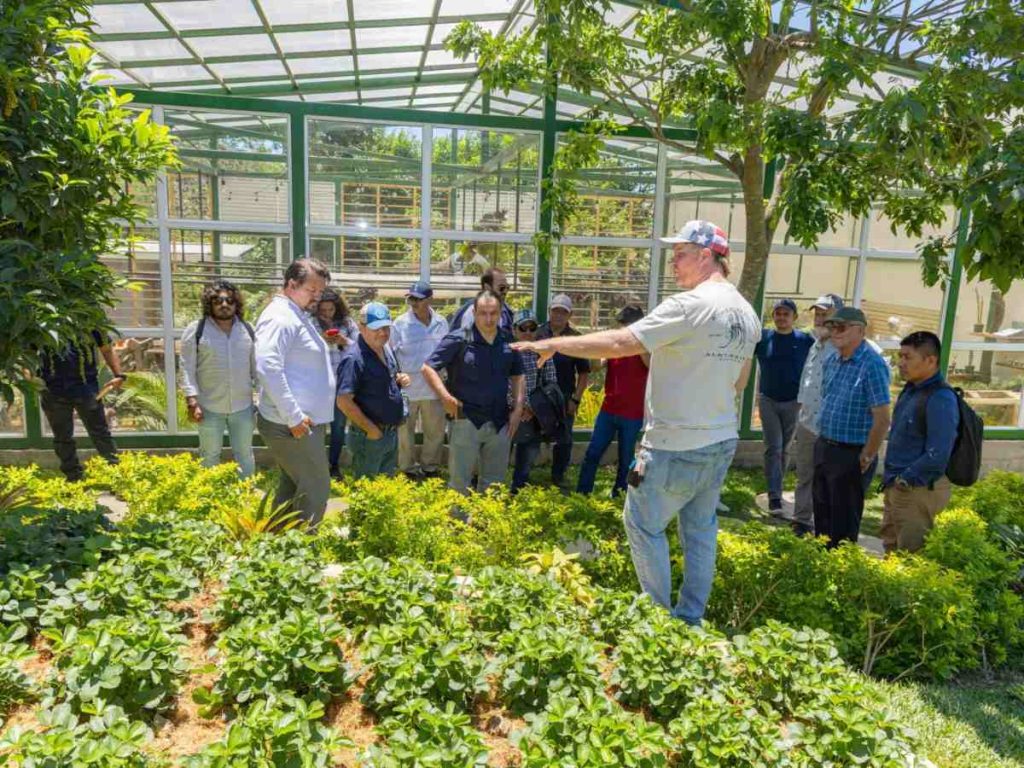 El programa incluye capacitación técnica, recuperación de suelos y conexión directa con mercados.