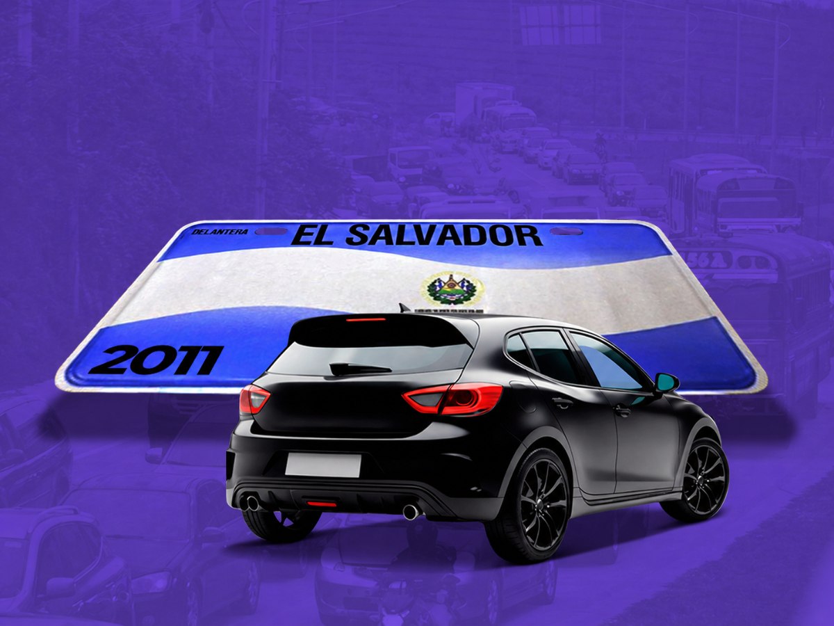 ¿Qué hacer si perdés tus placas? Estos son los pasos para reponerlas