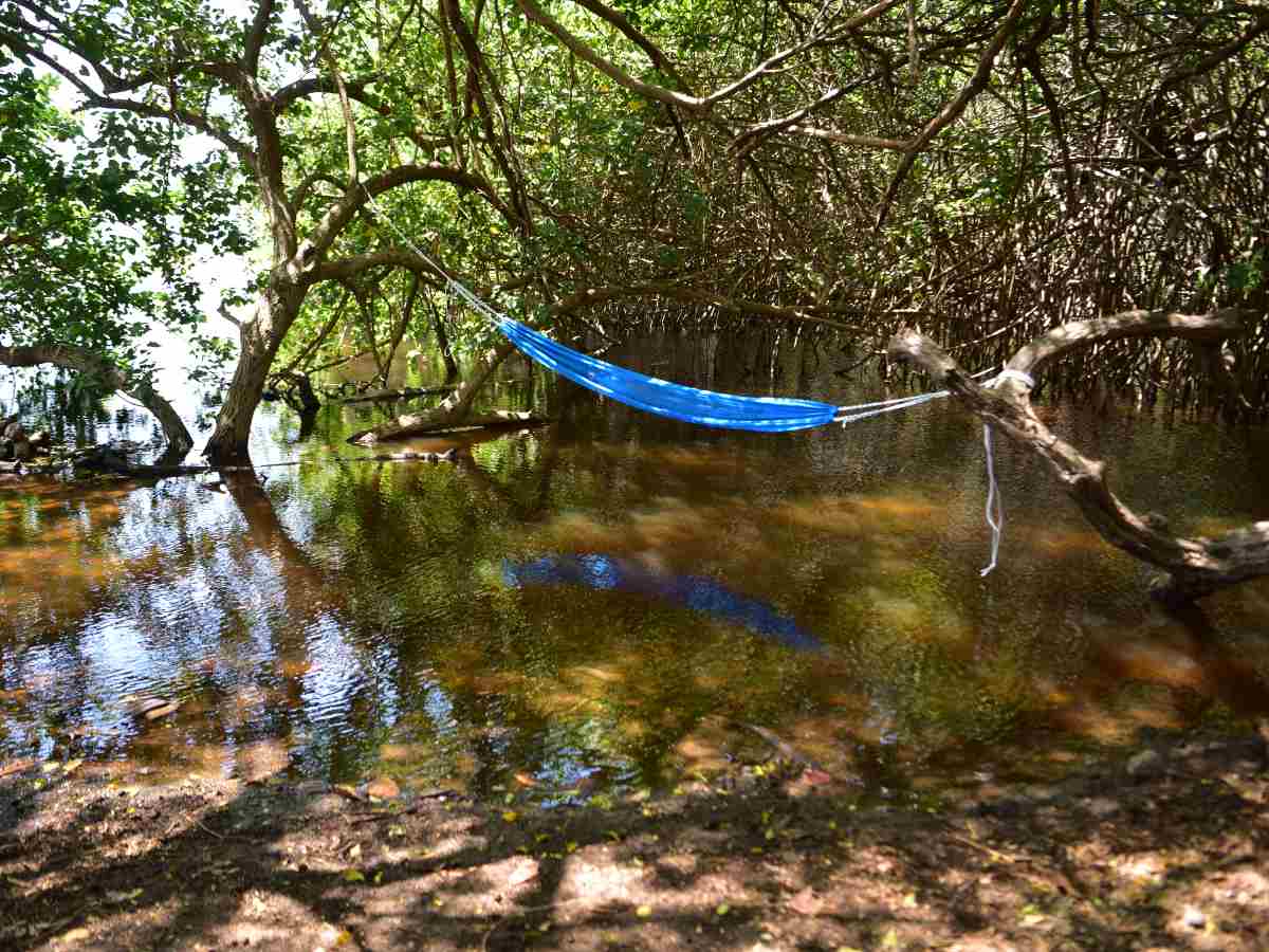 playa-almendros-sonsonate01