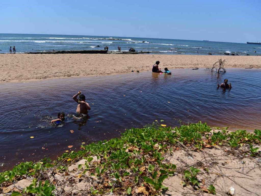 El arrecife volcánico de Playa Los Almendros protege la costa y alberga una rica biodiversidad visible durante toda la visita.