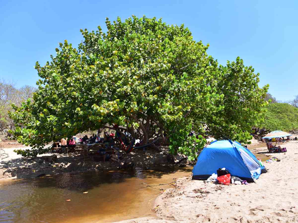 playa-almendros-sonsonate04