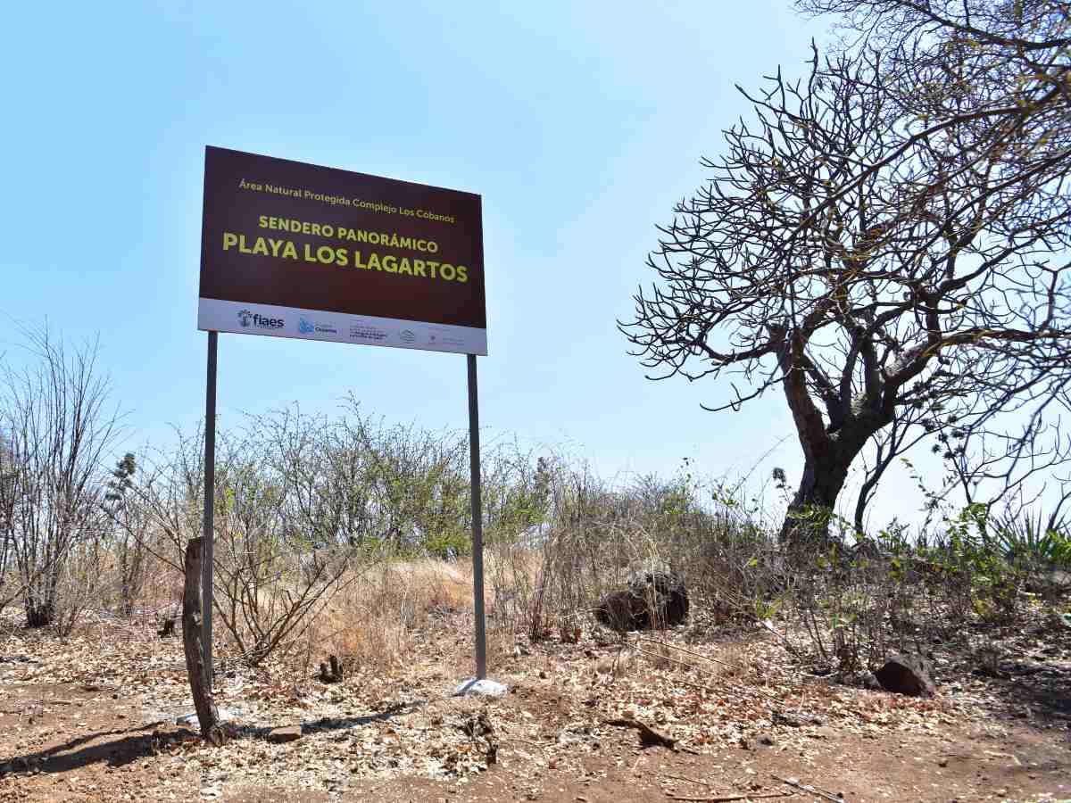 playa-almendros-sonsonate05