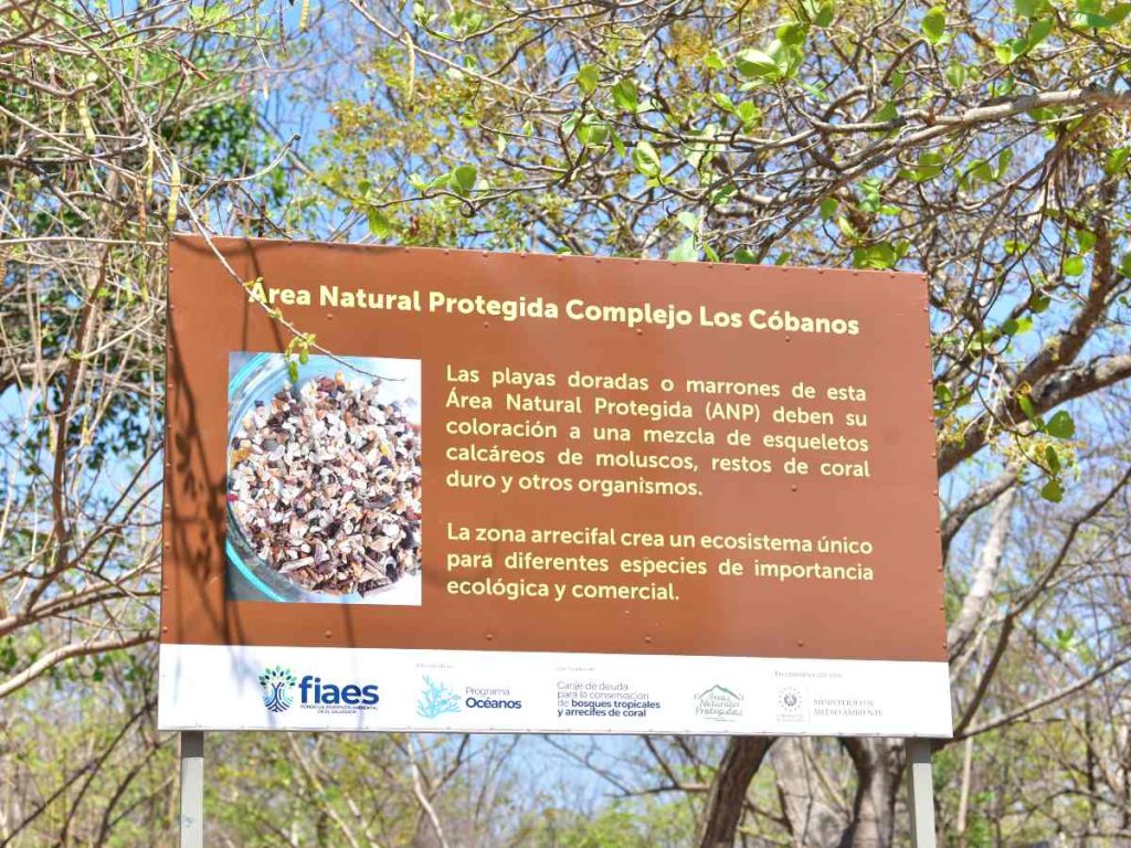 Rótulos informativos a lo largo del recorrido explican cómo el arrecife y los restos marinos dan forma a la playa y sostienen su biodiversidad.