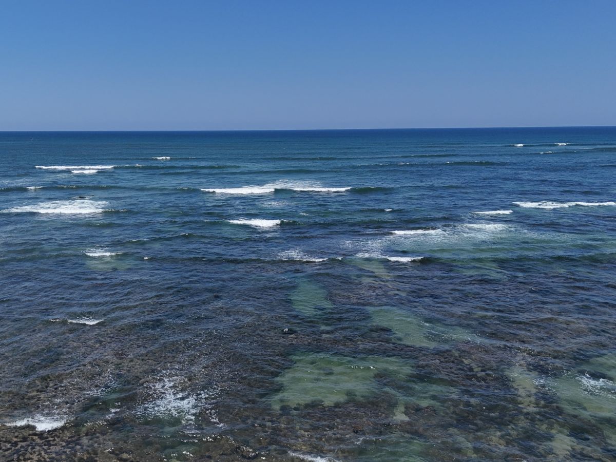 playa-los-cobanos (2)