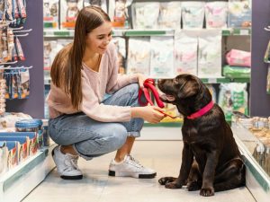 Cómo importar productos veterinarios en El Salvador más rápido y digital