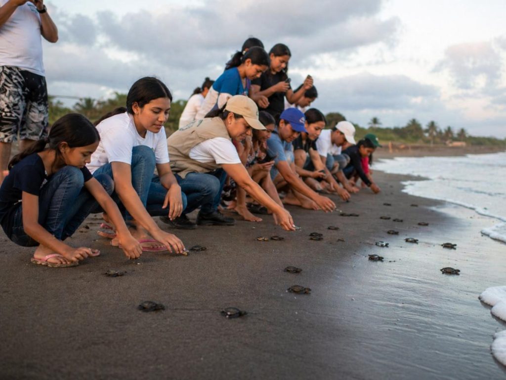 Visitantes participan en la liberación de tortugas marinas, una experiencia de turismo sostenible que promueve la conservación en la Barra de Santiago.