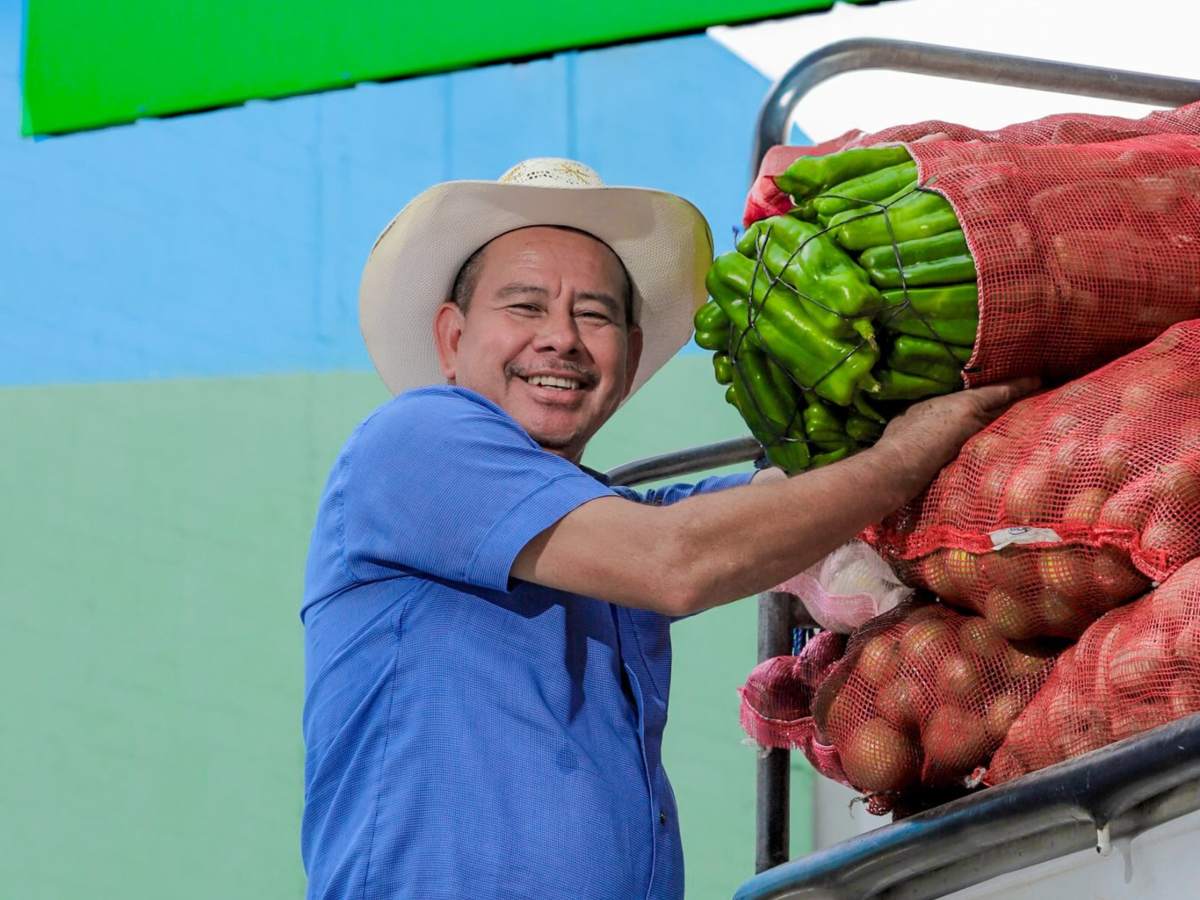 Pick-ups cargados de frutas y verduras recorren colonias y se consolidan como un nuevo modelo de negocio en El Salvador.