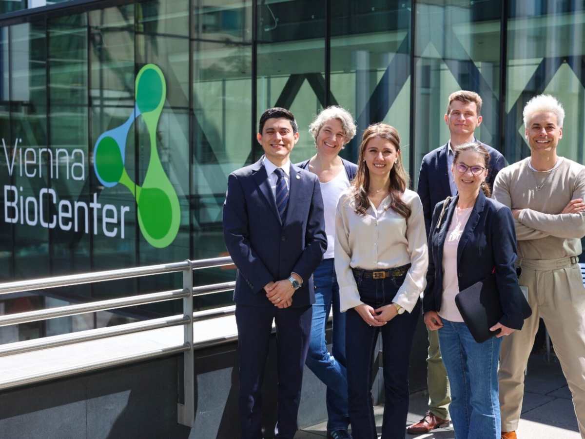 Victoria Deneke, científica salvadoreña, desarrolla su trabajo de investigación en el Instituto de Patología Molecular (IMP) en Viena, Austria.