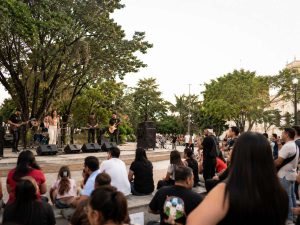 Música-concierto-público-escenario