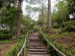 actividades-gratis-parque-bicentenario-01