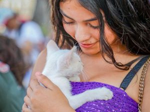 ¿Un encuentro inesperado? Así se vivió la jornada de adopción de mascotas en el Centro Histórico