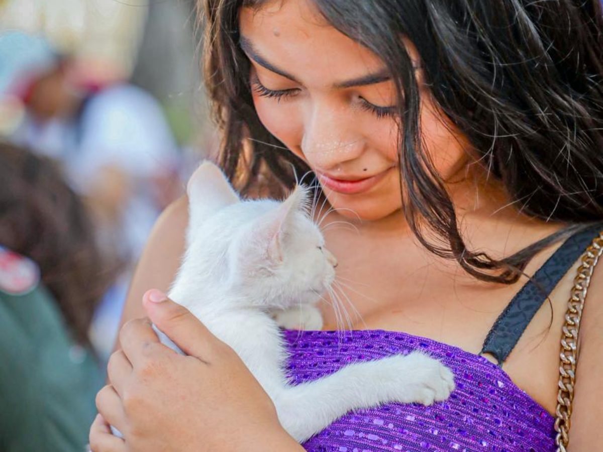 ¿Un encuentro inesperado? Así se vivió la jornada de adopción de mascotas en el Centro Histórico
