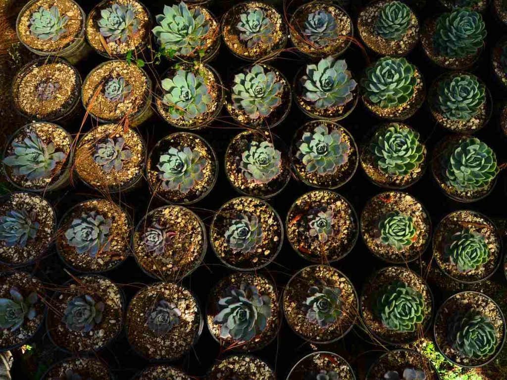 A solo tres horas de San Salvador, La Burbuja se ha convertido en uno de los escapes naturales más especiales de Chalatenango.