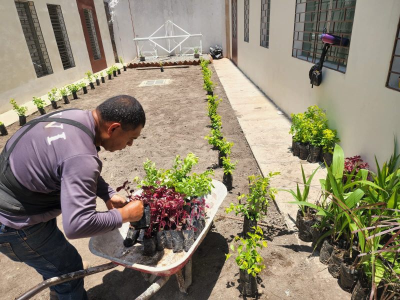 Las casas incorporan espacios comunes pensados para fortalecer la convivencia entre familias.