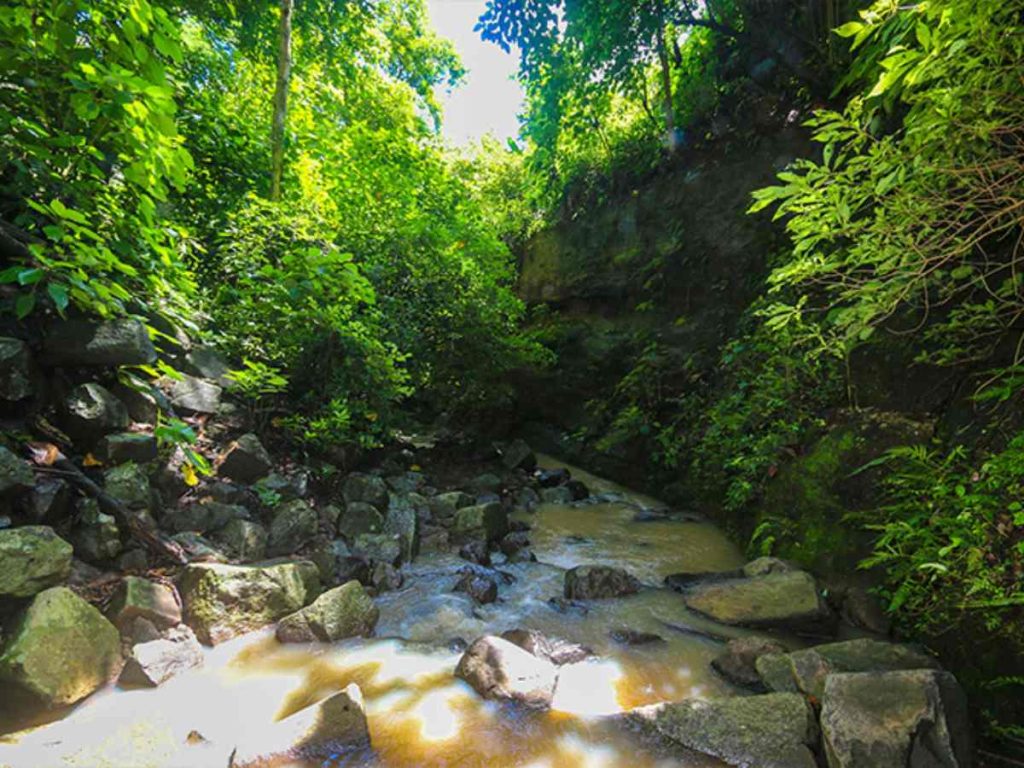Entre roca, vegetación y aventura, la Cascada Los Tercios revela una belleza natural única en El Salvador.