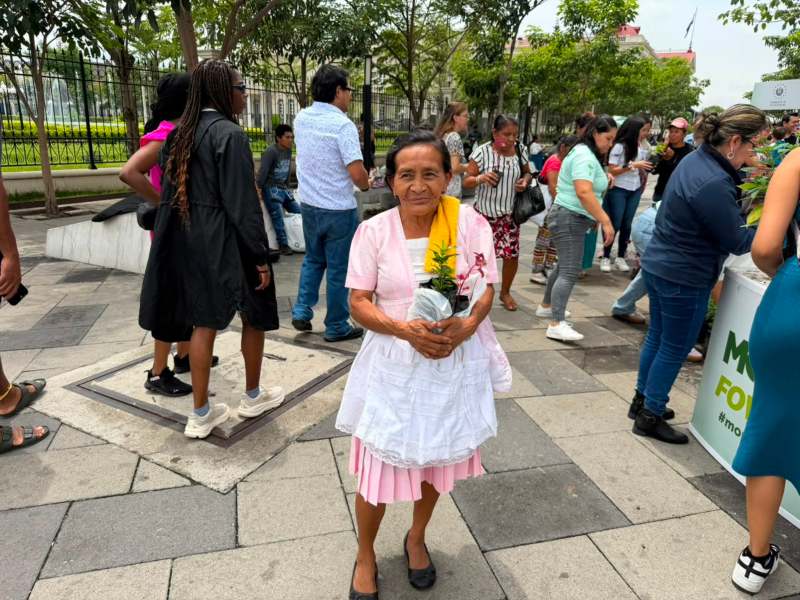personas aprovecharon la jornada de entrega gratuita de árboles y plantas en el Centro Histórico capitalino.