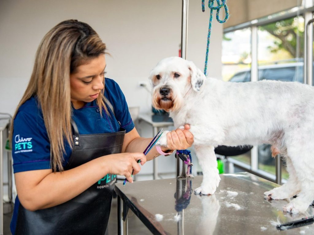 El hospital proyecta superar el millón de servicios veterinarios durante 2026.