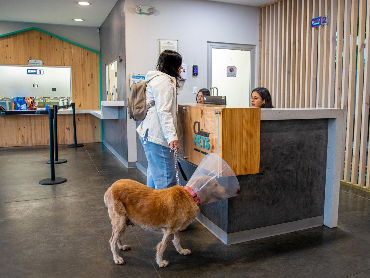 Cómo hacer una cita en Chivo Pets y qué servicios ofrece el hospital