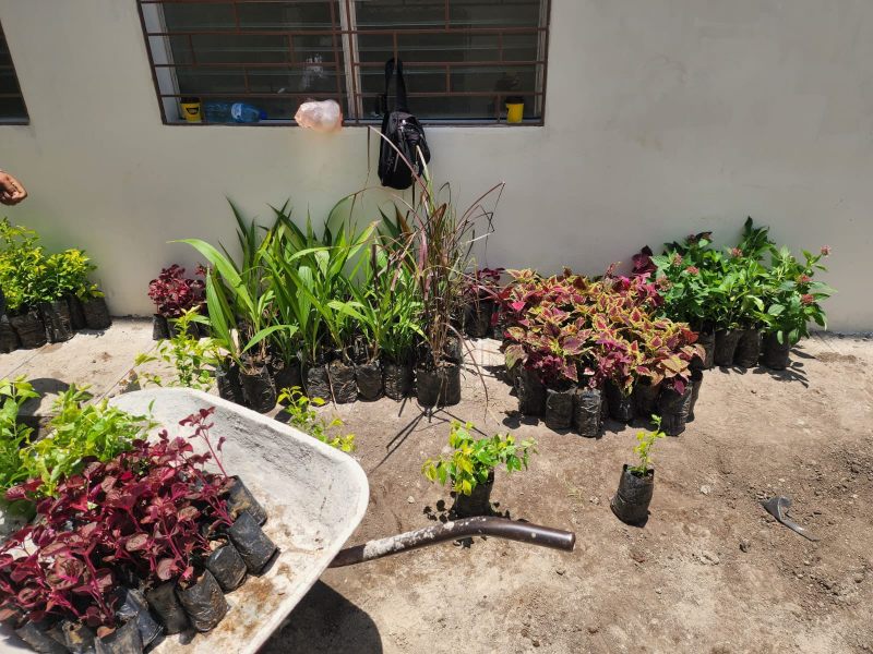 Áreas verdes y zonas comunes acompañan el diseño de los complejos habitacionales en el centro de San Salvador.