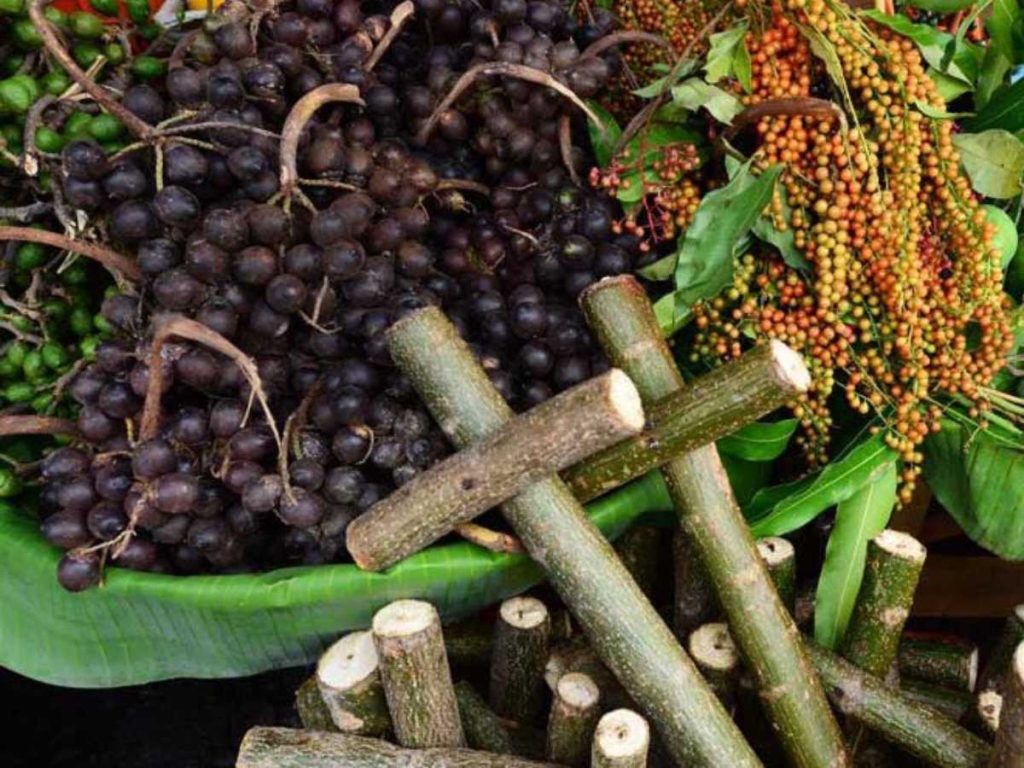 Además de consumirse fresco, el coyol se utiliza para preparar bebidas, dulces y hasta artesanías con su semilla dura.