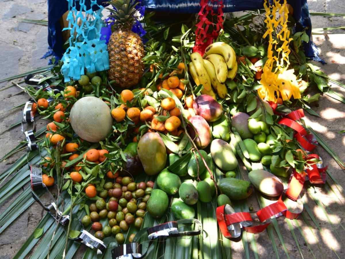dia-cruz-suchitoto-frutas013