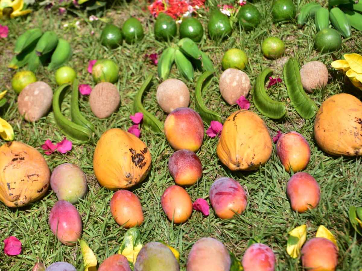 dia-cruz-suchitoto-frutas02