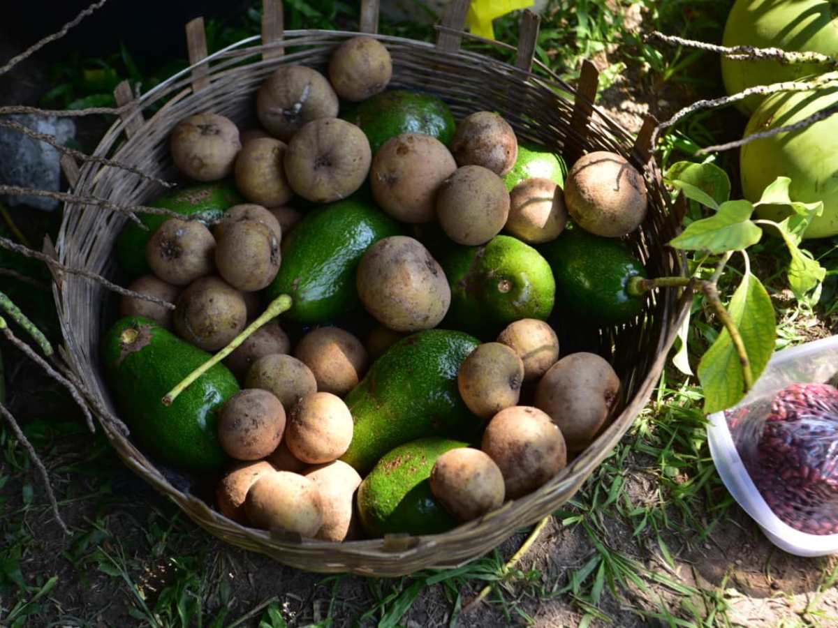 dia-cruz-suchitoto-frutas03