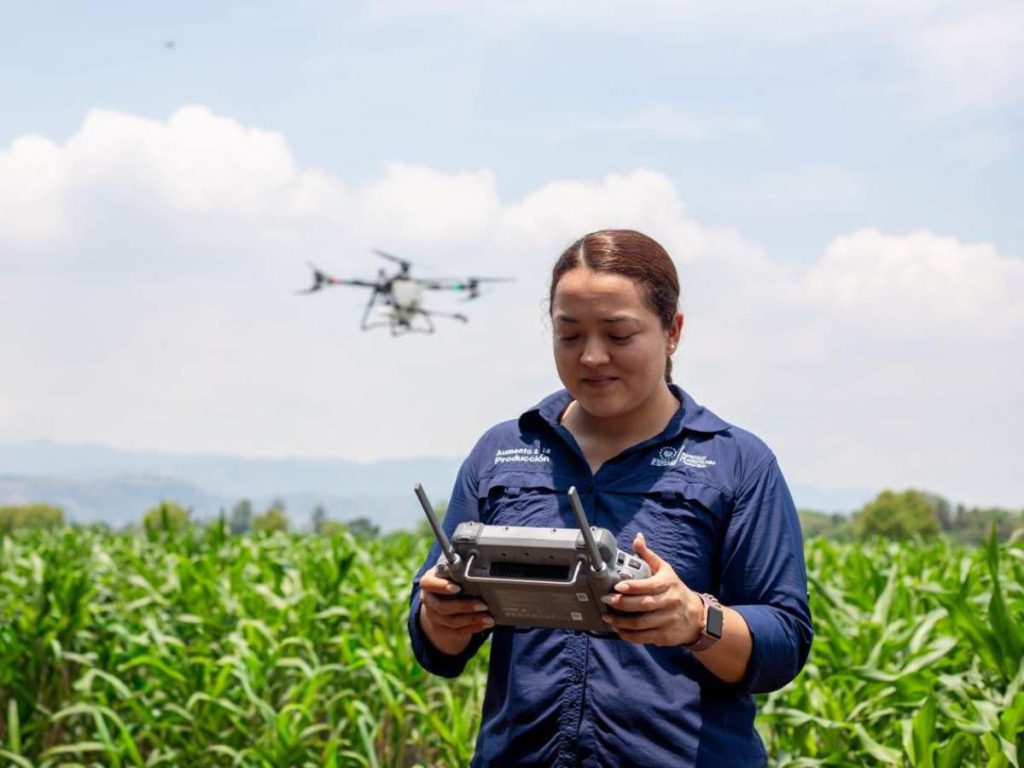 Las tarifas para fumigación con drones inician desde $13.50 por manzana.