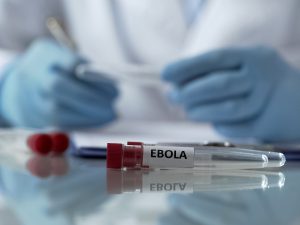 virus del ebola