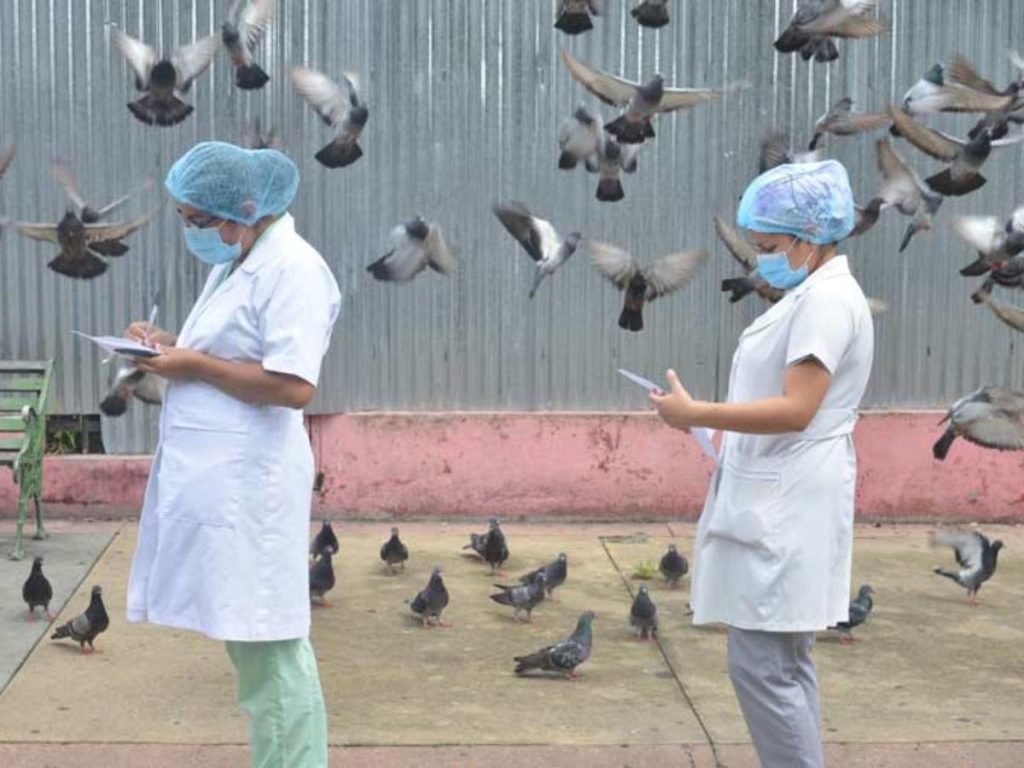 Las enfermeras desempeñan un papel fundamental en la atención, recuperación y acompañamiento de millones de pacientes en todo el mundo.