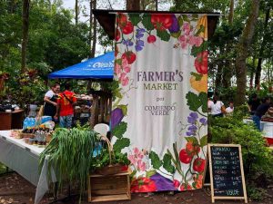 Emprendedores salvadoreños ofrecerán productos naturales, artesanales y saludables durante el Farmer’s Market en Parque Maquilishuat.