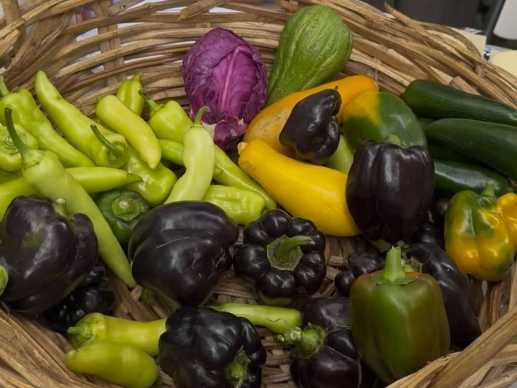 El Farmer’s Market reunirá gastronomía artesanal, cosmética natural y marcas locales este 17 de mayo en San Salvador.